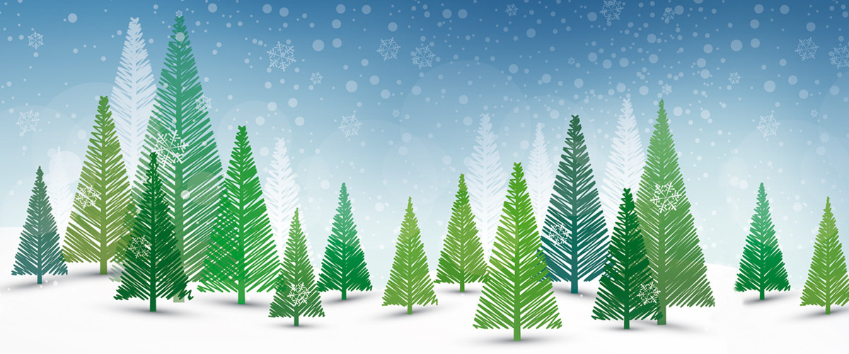Winter-Wunder